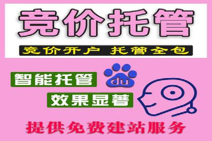 充值高返点案例研究：如何实现最大化收益